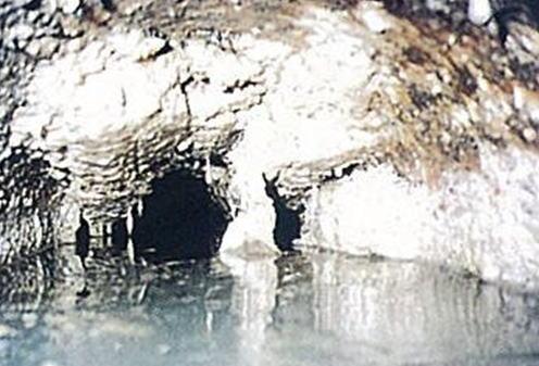 汚水管全体に汚れ等が付着し管路の流れ、悪臭が発生している写真