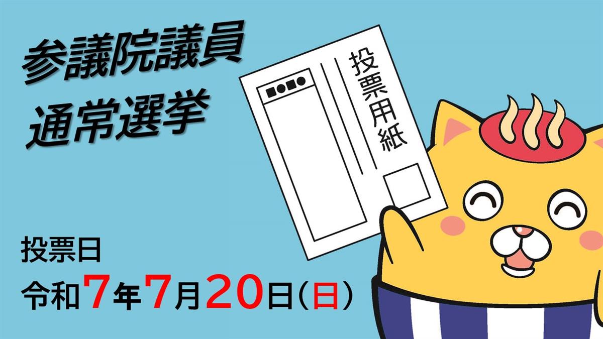 参議院議員通常選挙の画像
