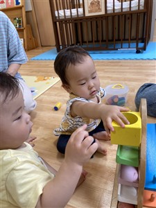 玉転がし