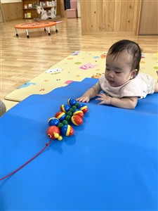 お山を越えて待て待て
