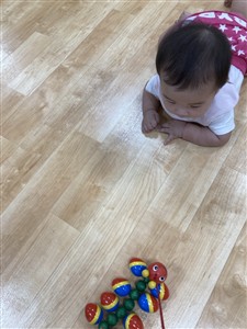 まてまて～