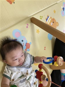 持ってるよ